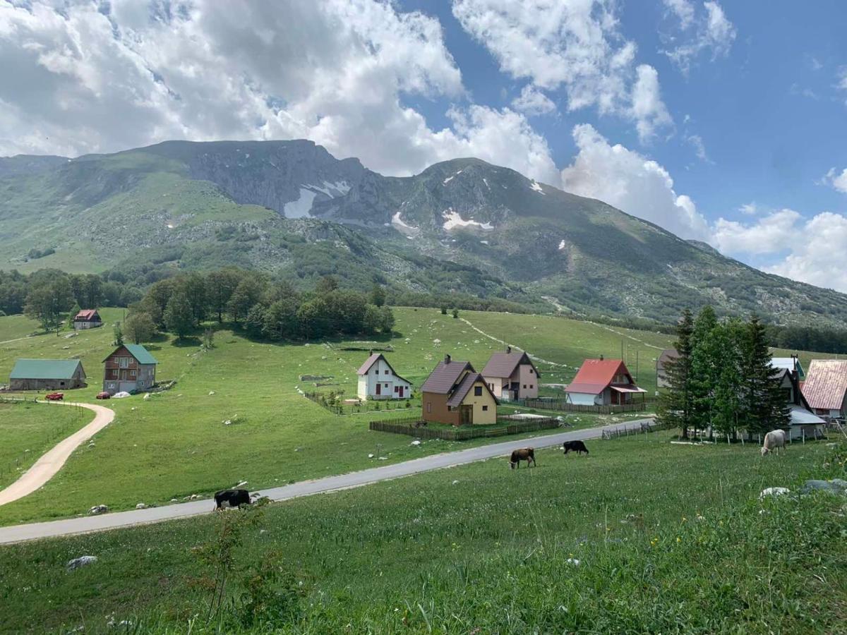 Blackberry House Zabljak Eksteriør billede