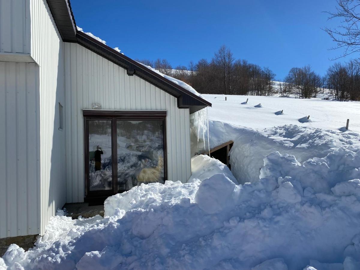 Blackberry House Zabljak Eksteriør billede